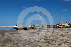 SAVANNAH SCAPE IN BEIRA, MOZAMBIQUE,AFRICA