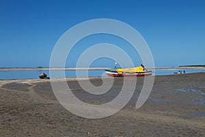 SAVANNAH SCAPE IN BEIRA, MOZAMBIQUE,AFRICA