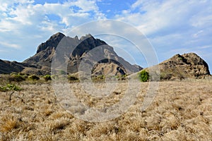 Savannas View Padar Island