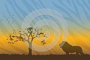 Savanne landscape with silhouette of lion photo