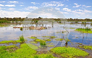 Save the Beelier Wetlands, Western Australia