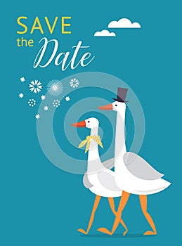 Save the date card design. Couple of cute white gooses.