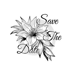 Save the date lily ink drawing isolated vector illustration