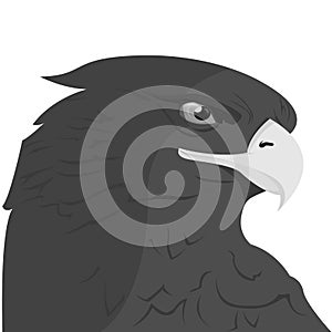 Save Download Preview Eagle head logo Template, Hawk mascot graphic