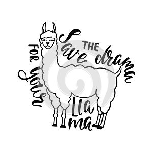 Save the drama for your llama. Hand drawn inspiration quote about happiness with lama. Typography design.