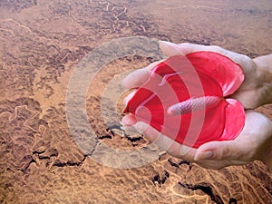 Save Earth. Hands, heart flower, water, desert.