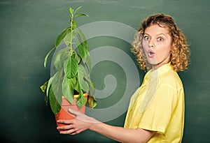 Save Earth. tree of knowledge. school learning ecology. school nature study. teacher woman in glasses at biology lesson