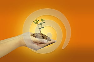 Save the earth, tree seeds in hand