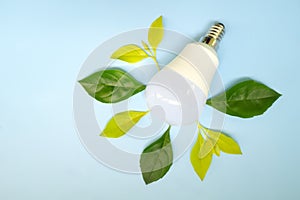 Save electricity, lights off, idea and innovation environmental conservation concept. Light bulb with fresh green leaves flat lay.