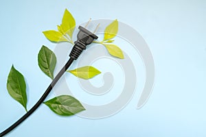 Save electricity, unplug appliances and environmental conservation concept. Unplugged electric cord plug with fresh green leaves