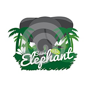 Save Elephant Conservative Concept