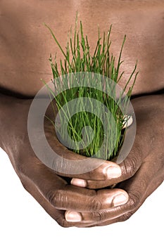 Save the environment