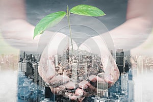 Save for Green Earth and Eco World Concept, Double Exposure Images of Woman Hands is Holding Seedling Tree and Soil on City