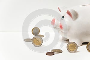 Save money. Piggy bank pig on a white background. Coins on a white background. Invest savings. Currency market. Save cash savings