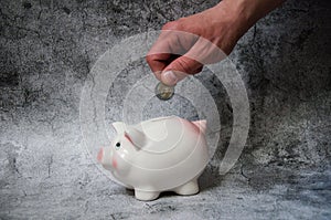 Save money. Piggy bank pig on a white background. Coins on a white background. Invest savings. Currency market. Save cash savings