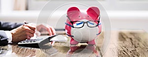 Save Money Piggybank, Budgeting