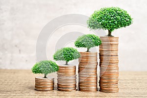 Save money tree growing on stack coins, Business finance investment business concept