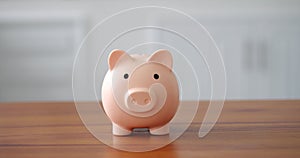 save money for vacation. A piglet is standing on a wooden table and an unrecognizable hand is saving money by throwing