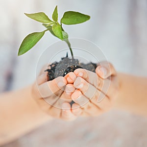 Save our future. a unrecognizable girl holding a plant outside.