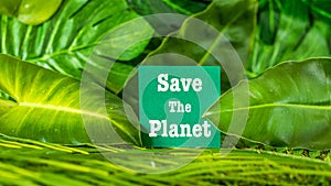 Save the planet. Earth Day concept 3D background. Ecology concept. Design with a white note on a sticky note and natural leaves in