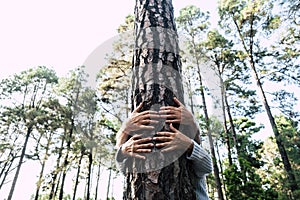 Save the planet and forest with couple of senior adult hands hugging a tree in the wood - love for outdoors and nature - earth`s