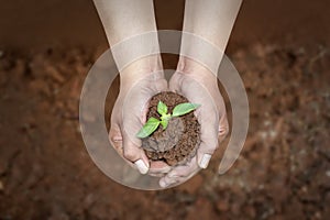 Save plants, save earth concept