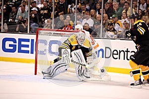 Save Tim Thomas