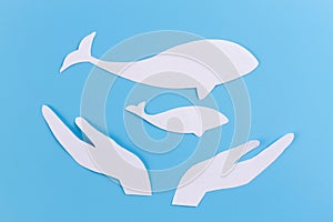 save whales concept image