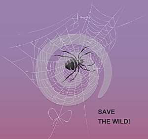 Save the wild