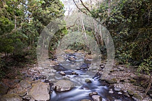 Savegre River, San Gerardo de Dota. Quetzales National Park, Costa Rica.