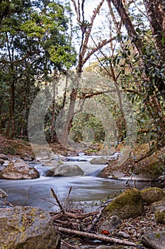 Savegre River, San Gerardo de Dota. Quetzales National Park, Costa Rica. photo