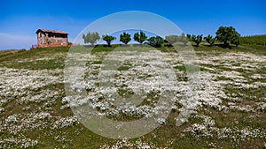 savignano sul panaro town between bologna and modena medieval fortress and church historic centre