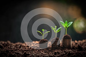 Saving concept by growing plants on coin isolated landscape background.