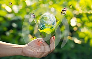 Saving energy concept, Earth day