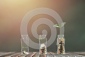 Saving and investment. Business and finance concept. A growth plant on pile coins in glass jar growing three step on wooden table