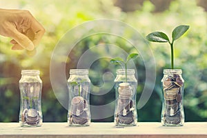 Saving and investment concept. Hand holding coin over stack of coins in 4 glass jar with plant growing in four step on wooden