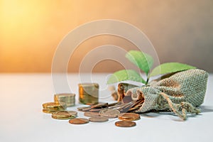 Saving money. Coins spilling out of money bag