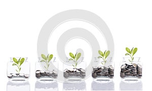 Saving money concept, business hand putting money coin stack growing tree on piggy bank.