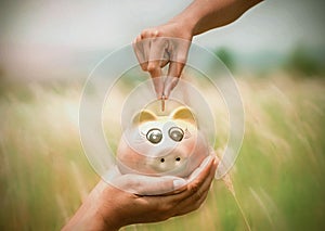 saving money concept hand puting coins in piggybank on nature ba