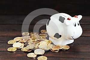 Saving money. Family budget. Money box on a wooden table.Coin box.Investments and financial investments photo