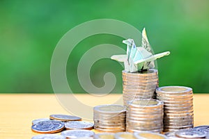Saving money, Making a origami bird thai banknote on stack of coins money on natural green background