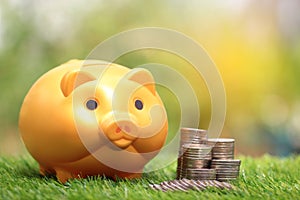 Saving money for prepare in future and investment concept, Golden piggy and stack of coins money on natural green background