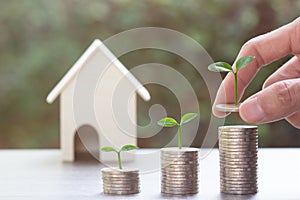 Saving money or property investment concept. A man hand putting coin into rising stack of coins with plant on pile coin on wood