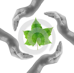 Saving nature concept