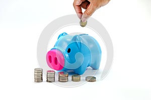Saving pig with money and calculator