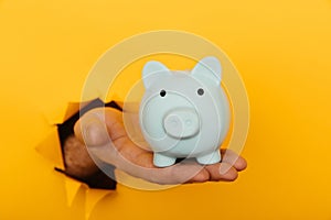 Savings concept. Hand with a blue pink piggy bank through a hole in yellow background close-up