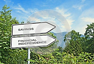 savings and financial independence