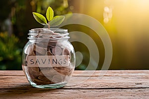 Savings jar earmarked for travel, financing future adventures