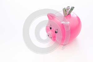 Savings. Moneybox in shape of pig with banknotes falling into it on white background space for text