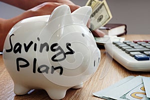 Savings Plan written on a side of piggy bank.